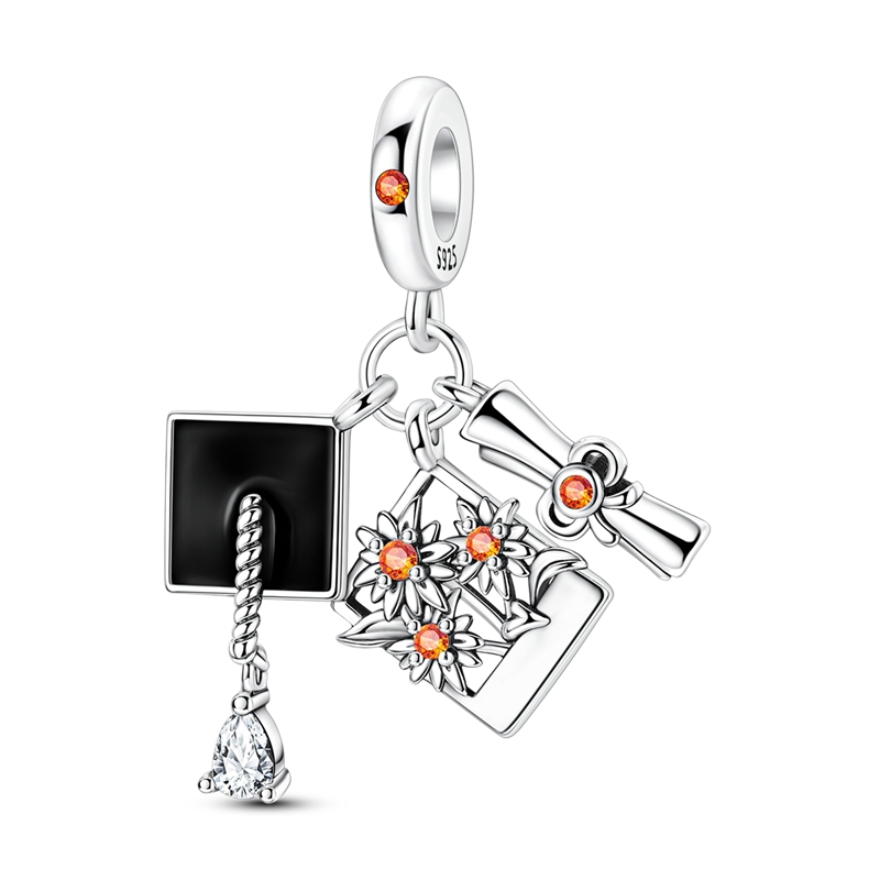 Grad Set Charms aus 925er Ster – Jewelry Making Diploma Bewertung und Preis